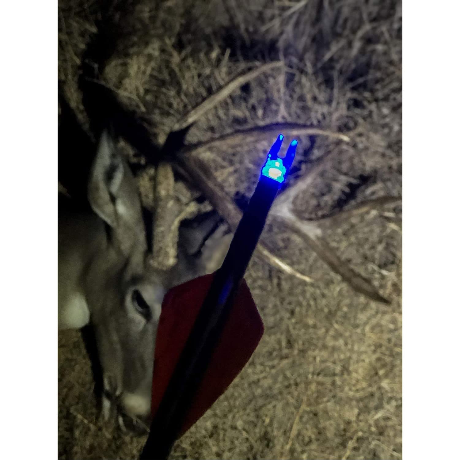 New Archery Products Thunderglo Compound Bow Led Illuminated Auto Turn-On Arrow Nocks - Blue (3 Pack)