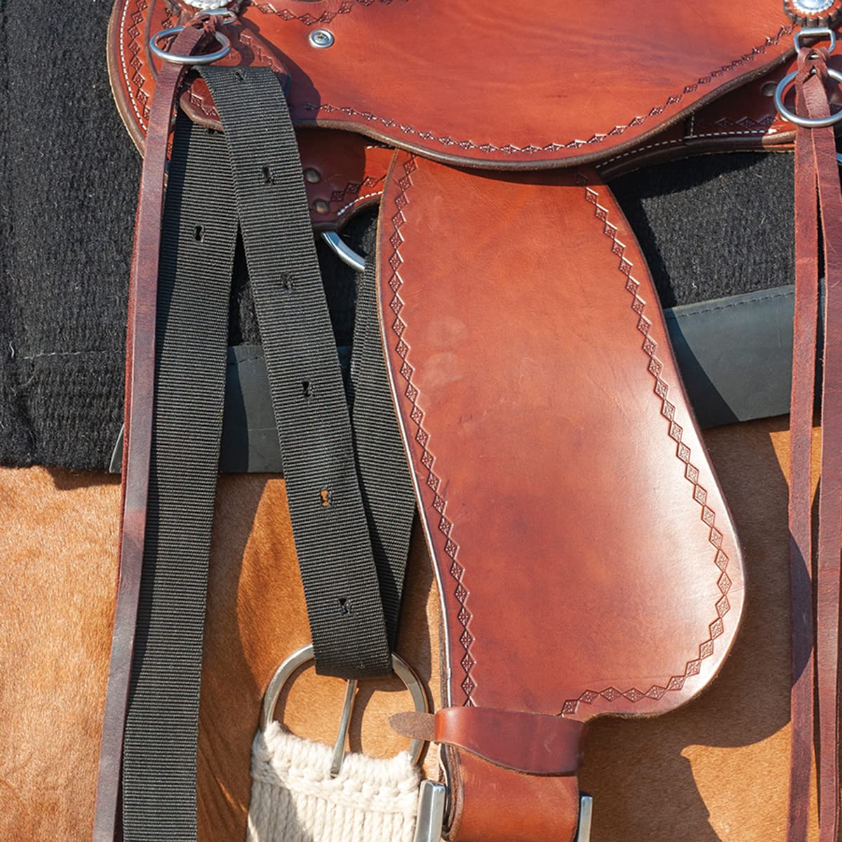 Cashel Nylon Latigo Tie Strap Black