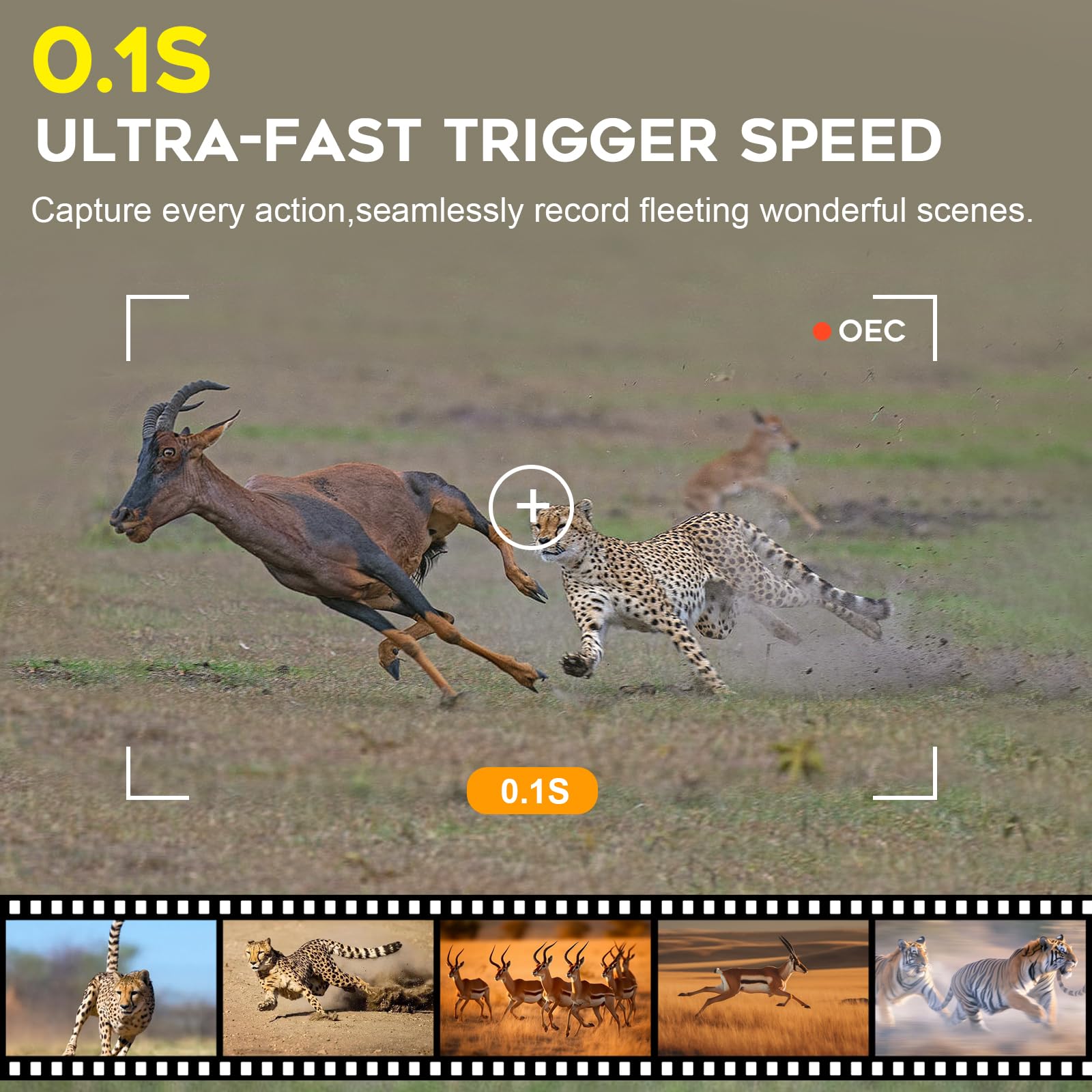 Xjwecavi Trail Camera Wifi 4K 48Mp With Night Vision Ip66 Waterproof 0.1S Trigger Speed And Bundled With 32Gb Memory Card, Card