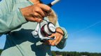 Abu Garcia 610 Max Pro Spinning Reel and Fishing Rod Combo, Size 2500 Reel, 8 Stainless Steel Ball Bearings, Carbon Matrix Drag