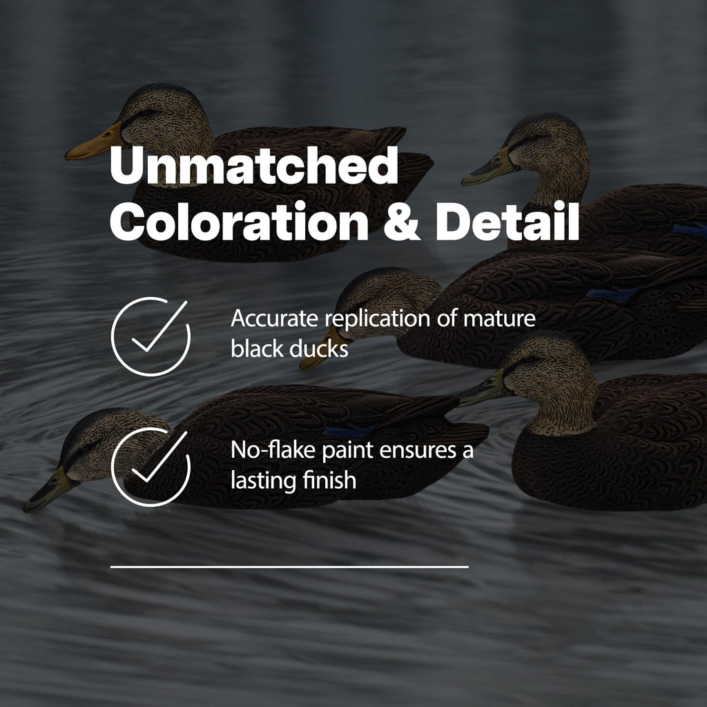 Avian X Topflight Black Realistic Duck Decoy Sets With Flocked Bodies, 6 Unique Postures, Weight Forward Swim Keel, & Durable No