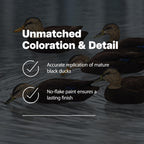 Avian X Topflight Black Realistic Duck Decoy Sets With Flocked Bodies, 6 Unique Postures, Weight Forward Swim Keel, & Durable No