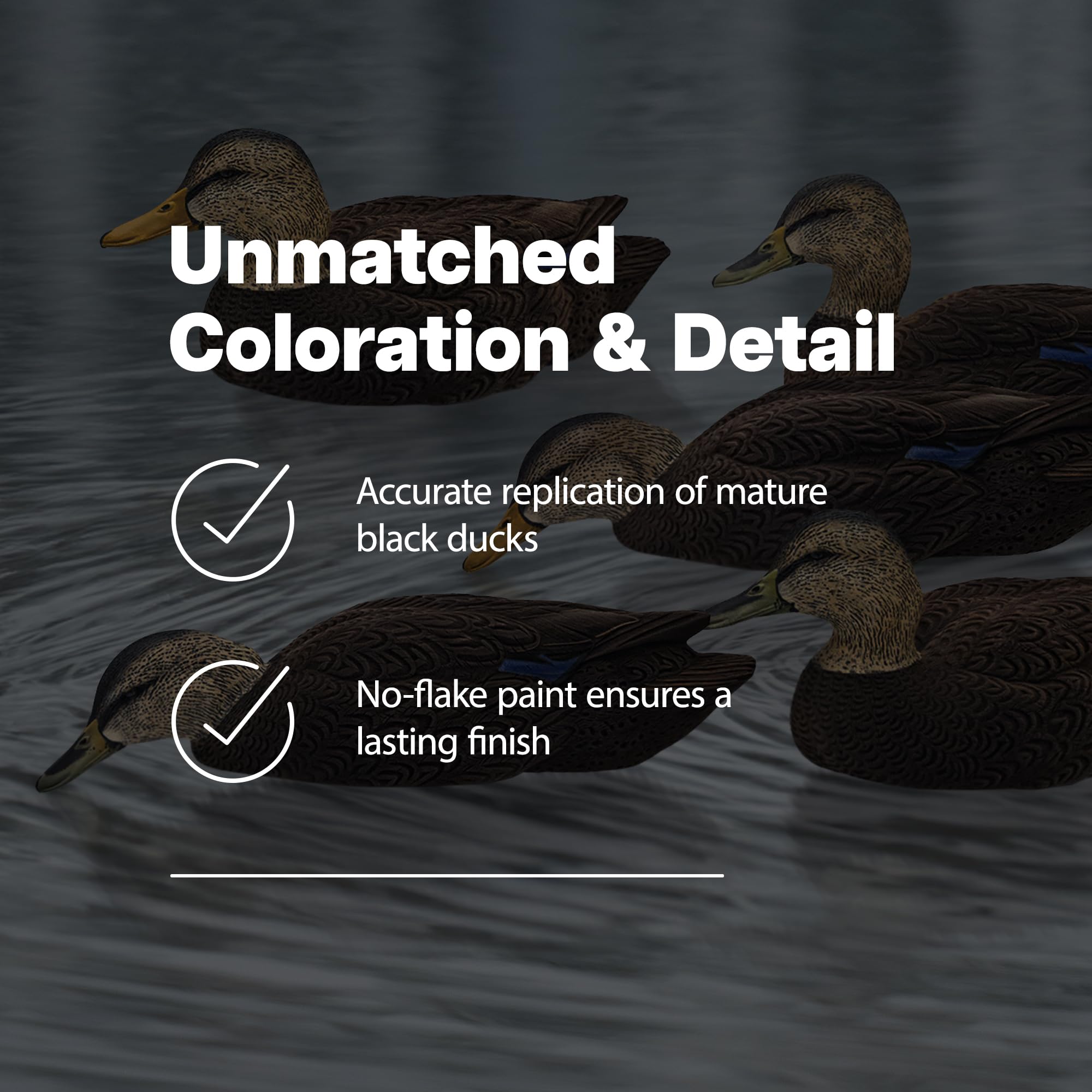 Avian X Topflight Black Realistic Duck Decoy Sets With Flocked Bodies, 6 Unique Postures, Weight Forward Swim Keel, & Durable No