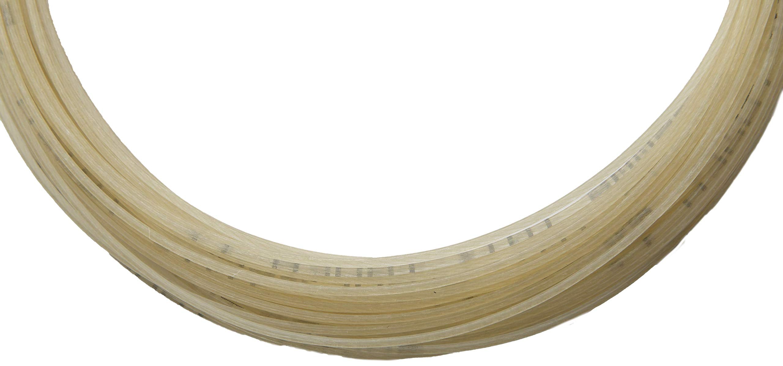 Gamma Tnt2 18G Tennis String, White