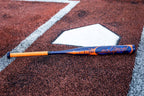 Rawlings | Eclipse Fastpitch Softball Bat | -12 | 1 Pc. Aluminum | Navy | 29 Inch
