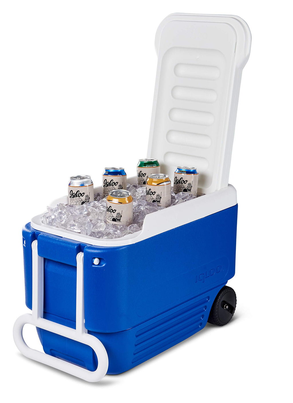 Igloo 38 Quart Wheelie Cooler,Blue (22.875? X 12.875? X 15.875?)