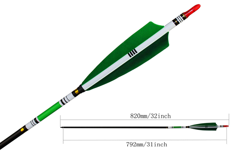 Ttfly Fletching 31 Inch Carbon Arrows Green Turkey Feather Targeting Arrows Archery With Screw-In Field Tips Hunting&Practice(12
