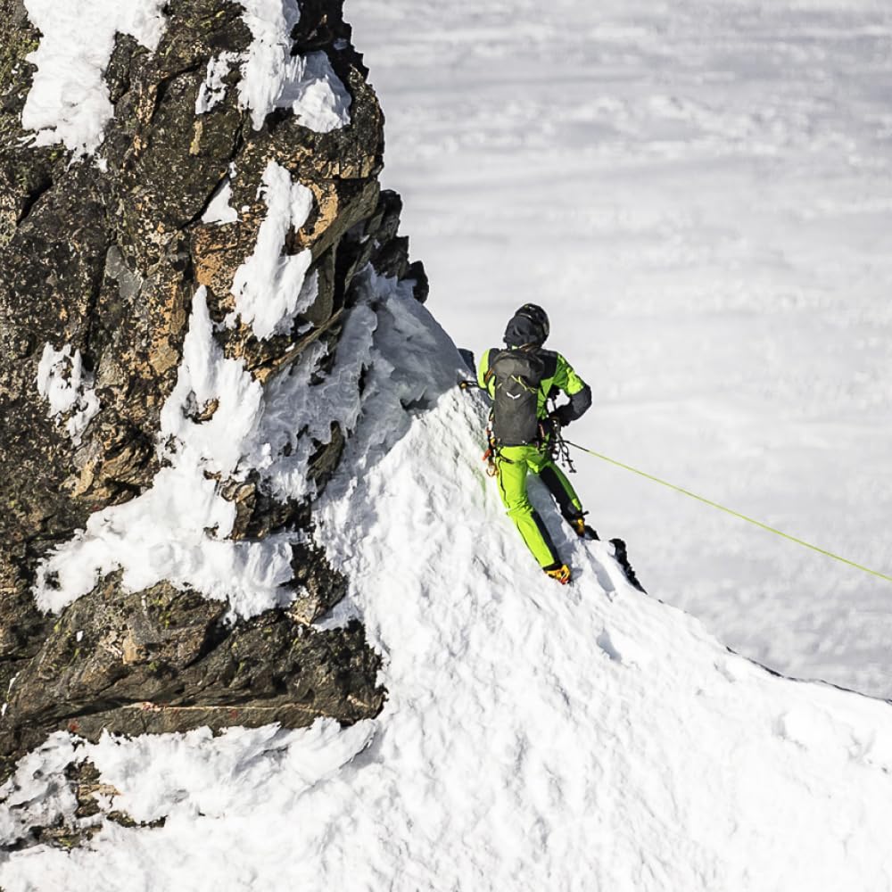 Salewa Mtn Spike Crampon S
