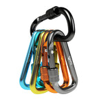 Zalava 6 Pcs 2D-Clip Durable Locking Carabiner Keychain Clip,Keychain Clip Hook,Green