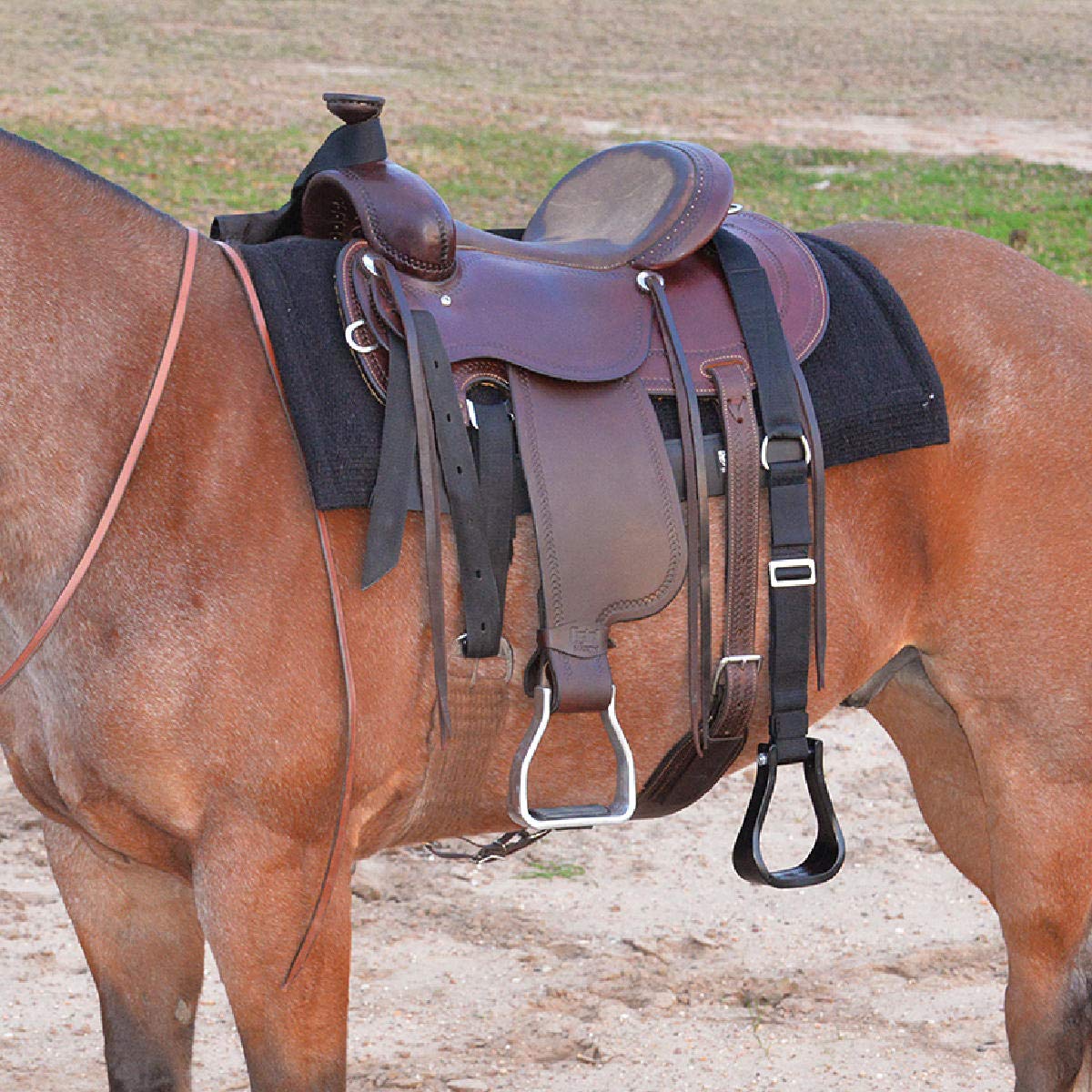 Cashel Step Up Stirrup, 72-Inch