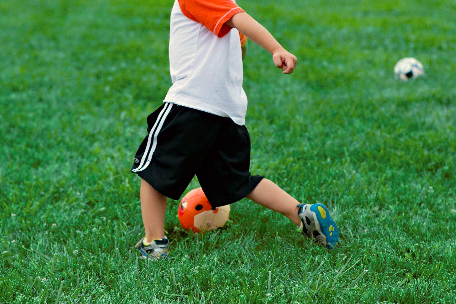Daball Kid And Toddler Soccer Ball - Size 1 And Size 3, Pump And Gift Box Included (Size 1, Terry, The Fox)