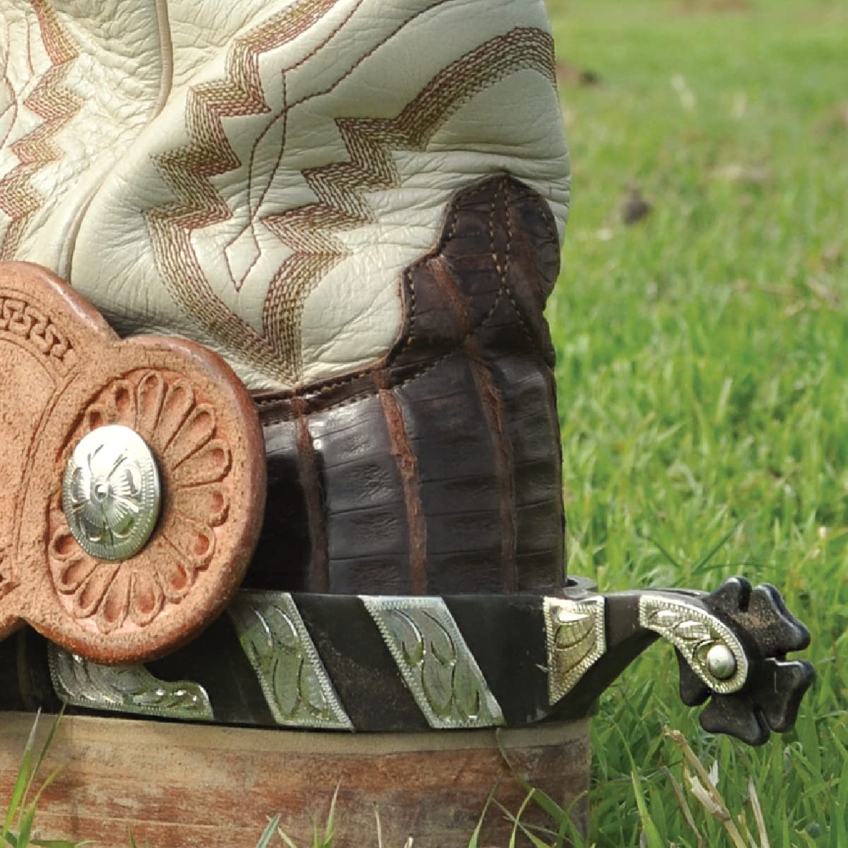 Classic Equine Cowboy Spurs 1-Inch Band