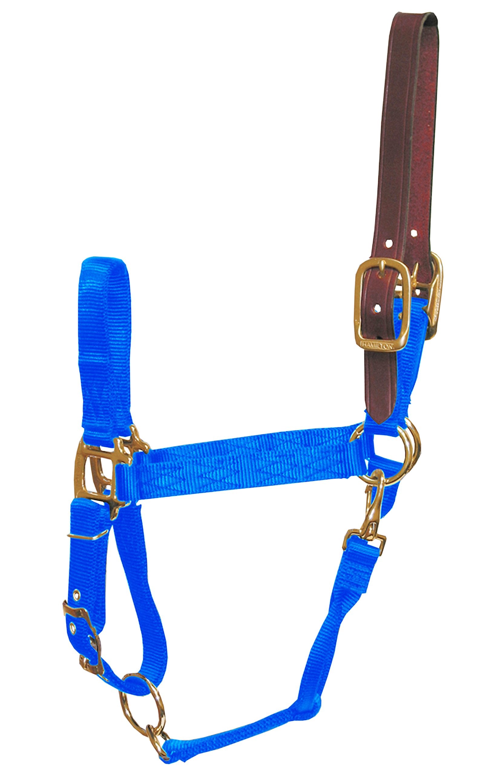 Hamilton 1-Inch Nylon Adjustable Horse Halter With Leather Head Poll And Throat Snap, Small, Blue
