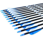 Tiger Archery 30Inch Carbon Arrow Practice Hunting Arrows With Removable Tips For Compound & Recurve Bow(Pack Of 12) (Blue White