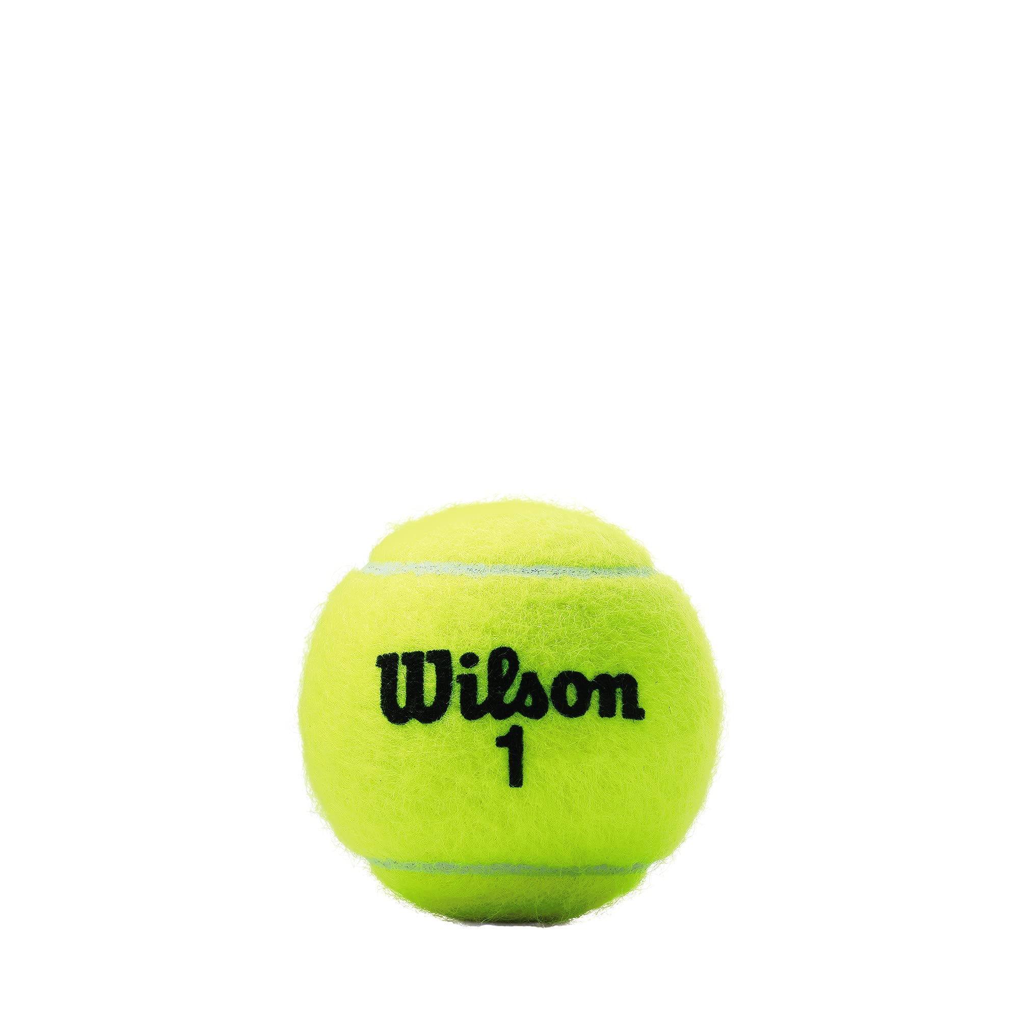 Wilson Sporting Goods Champ Rd Tennis Ball - 4 Can Pack,Yellow,4 Can Pack (12 Balls),Wrt100304