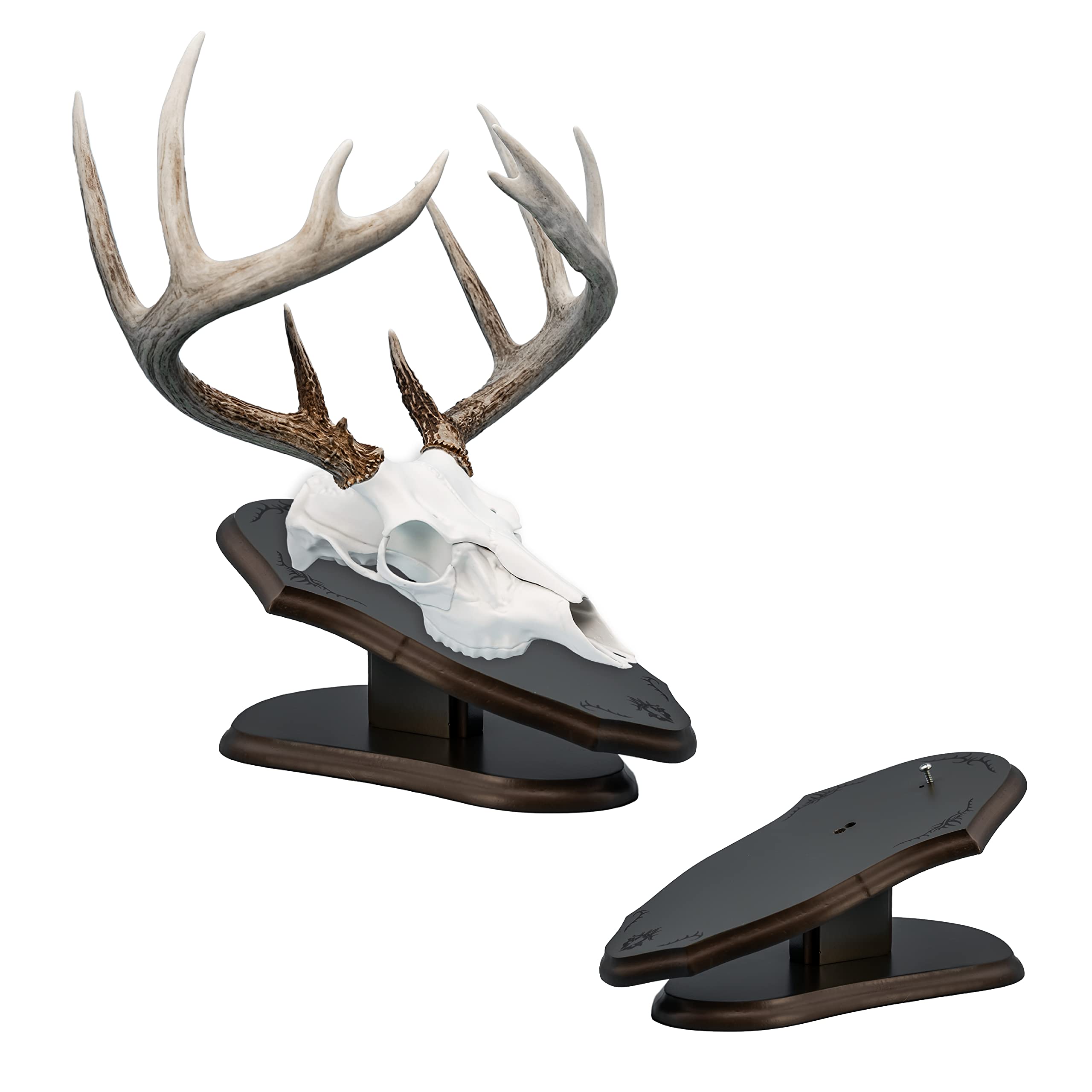 Mountain Mike's Reproductions Europlaque Skull Desk/Wall Mount Display Plaque