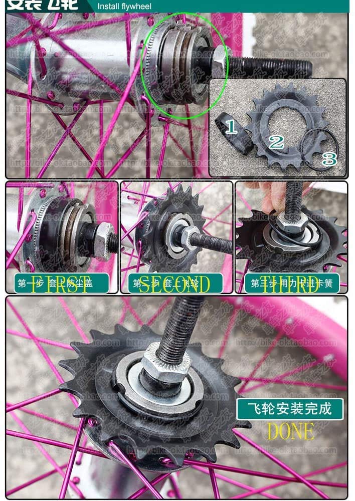 Bicycle Coaster Brake Hub/Bike Brake Rear Hub 32 Hole Stainless Steel