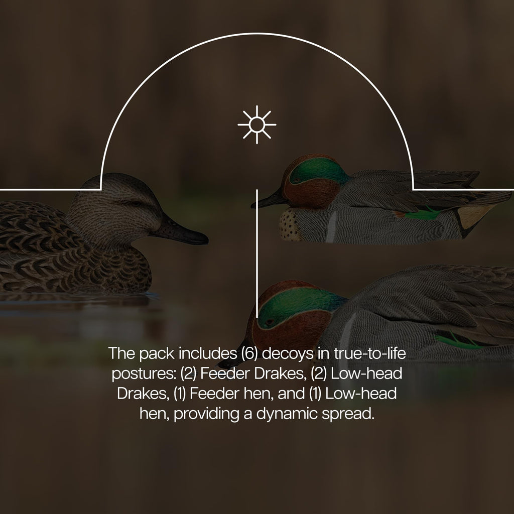 Avian X Topflight Green-Winged Teal Decoys, Realistic Floating Duck Decoys For Hunting, Weight-Forward Swim Keel, Set Of 6, Mult