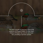 Avian X Topflight Green-Winged Teal Decoys, Realistic Floating Duck Decoys For Hunting, Weight-Forward Swim Keel, Set Of 6, Mult