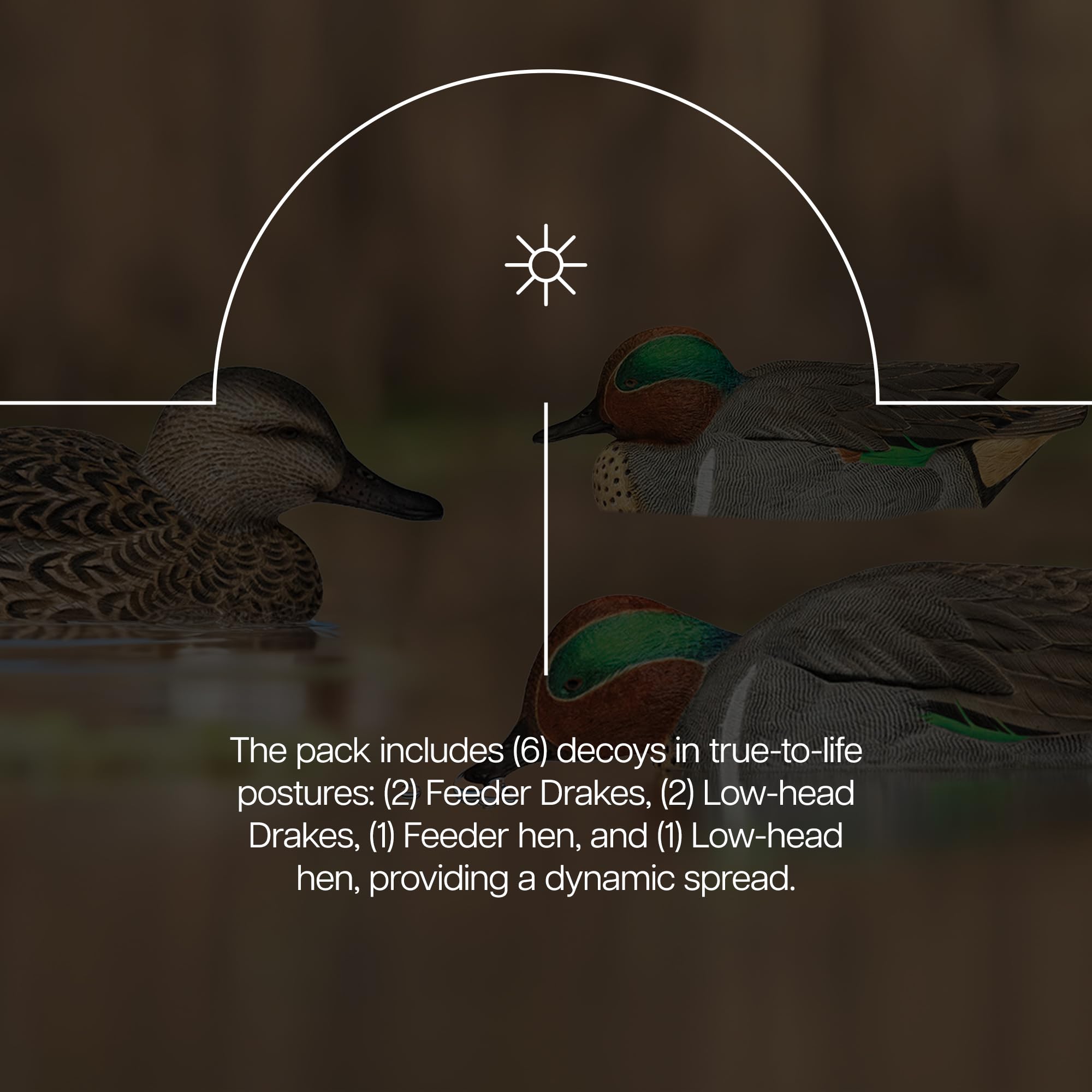 Avian X Topflight Green-Winged Teal Decoys, Realistic Floating Duck Decoys For Hunting, Weight-Forward Swim Keel, Set Of 6, Mult