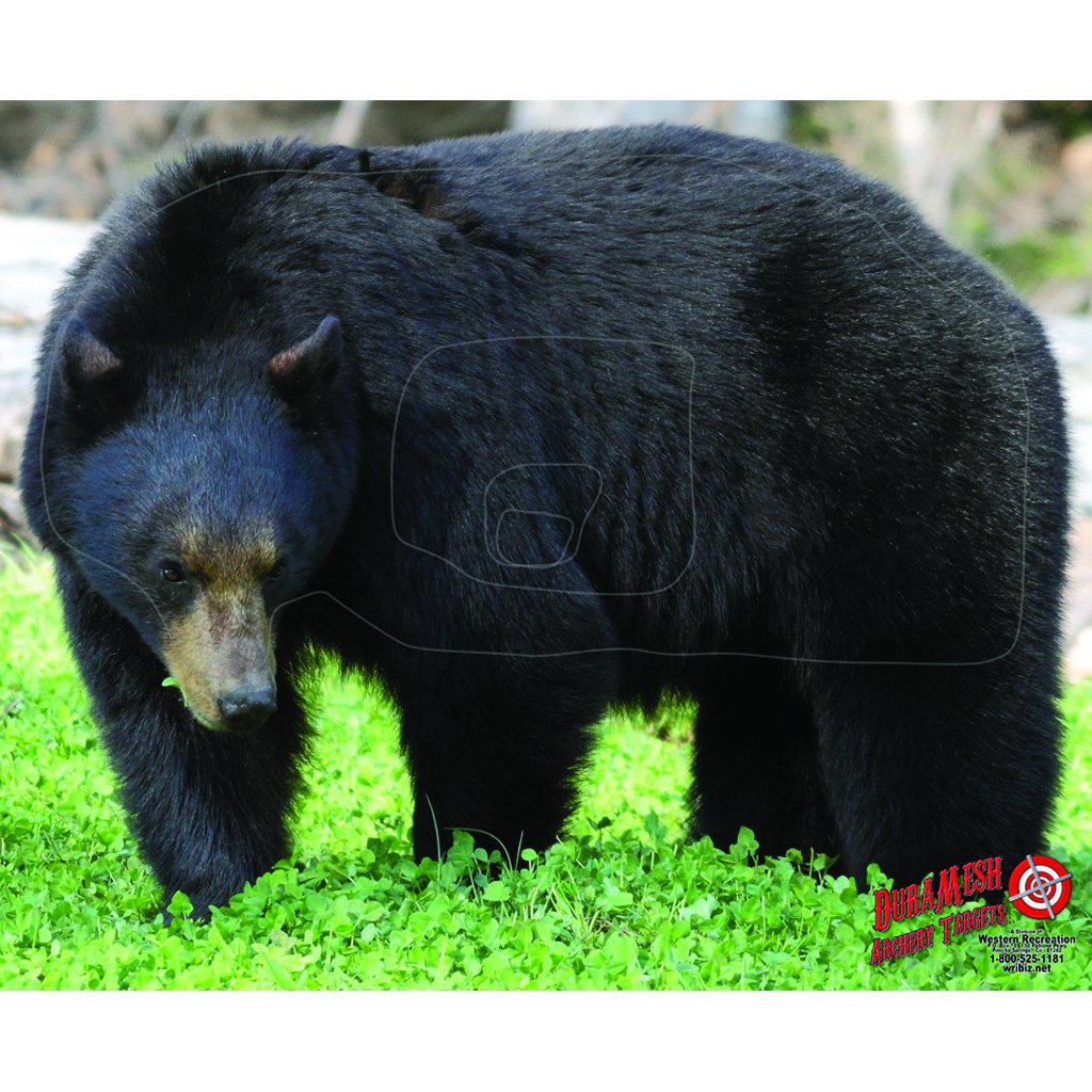 Duramesh Archery Bear Target, Black, 25'' X 32In