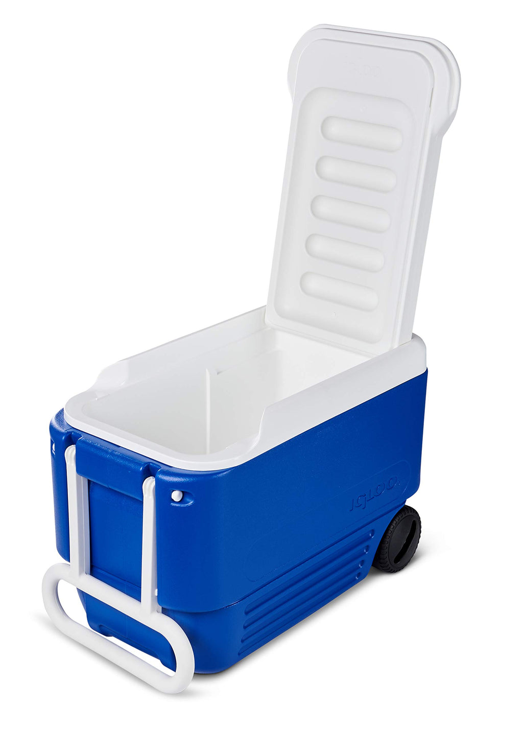 Igloo 38 Quart Wheelie Cooler,Blue (22.875? X 12.875? X 15.875?)