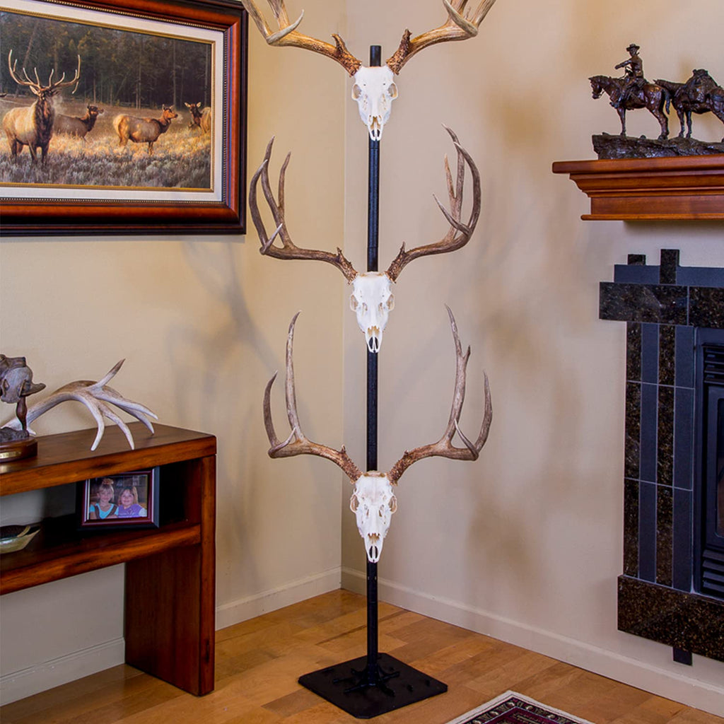 Skull Hooker Trophy Tree European Trophy Mount - Hang Up To 5 Taxidermy Deer Antlers And Other Skulls For Display - Graphite Bla