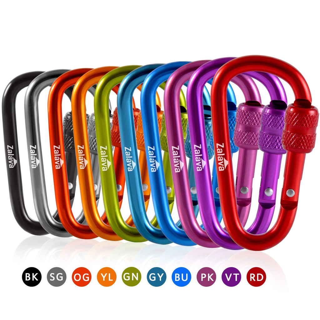 Zalava 2'' 10 Pcs D-Clip Durable Locking Carabiner Clips Keychain Clip, Spring-Loaded Aluminum Keychain Clip Hook, Screwgate Loc