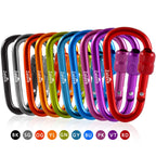 Zalava 2'' 10 Pcs D-Clip Durable Locking Carabiner Clips Keychain Clip, Spring-Loaded Aluminum Keychain Clip Hook, Screwgate Loc