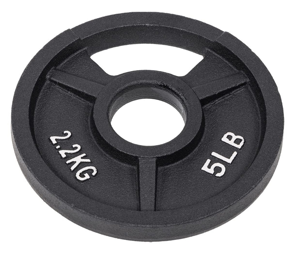 Fitvids Olympic Cast Iron 2-Inch Weight Plate for Strength Training & Weightlifting, 5LB Set of 4