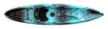 Perception Tribe 11.5 | Sit on Top Kayak for All-Around Fun | Large Rear Storage with Tie Downs | 11 5 | Dapper