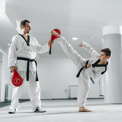 2-Pack Tkd Taekwondo Kick Pad, Red Karate Kicking Target, Durable Striking Pads For Kickboxing Training, Martial Arts, Boxing, M
