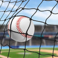 Wiseek 10'X30' Baseball Softball Backstop Nets, Heavy Duty Baseball Netting Ball Stop Netting #18 Nylon Sport Netting Barrier