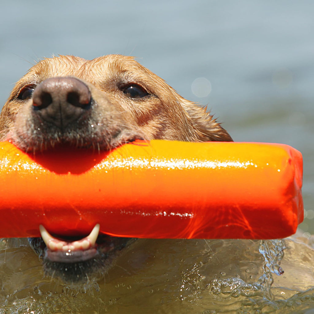 Avery Sporting Dog Canvas Training Bumper - Durable, Water-Resistant Training Dummy For Hunting Dogs (Orange, 3)