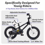 Royalbaby Freestyle Kids Bike 14 Inch Childrens Bicycle With Training Wheels Toddlers Boys Girls Beginners Ages 3-5 Years (Black