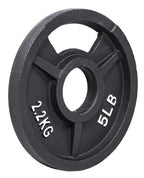 Fitvids Olympic Cast Iron 2-Inch Weight Plate for Strength Training & Weightlifting, 5LB Set of 4