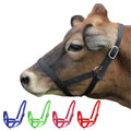 Derby Originals Adjustable Nylon Livestock Cattle Halters Available In Multiple Colors