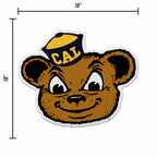 Rico Industries Ncaa Cal Berkeley Golden Bears Mascot Shape Cut Pennant - Home And Living Room D  Cor - Soft Felt Ez To Hang 18X