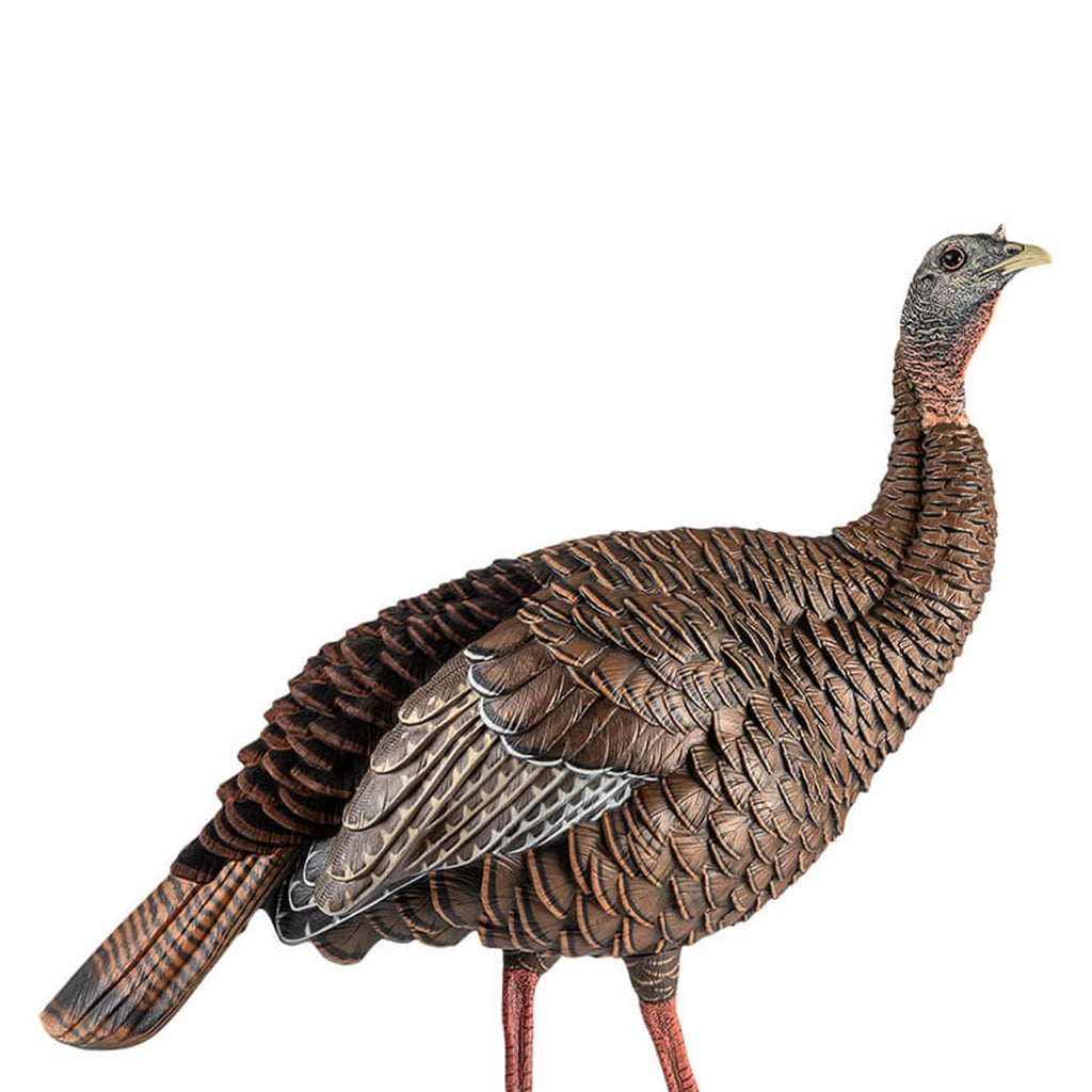 Avian-X Hdr Hen Turkey Decoy | Durable Realistic Lifelike Standing Hunting Decoy With 2 Removable Heads, Carry Bag & Integrated