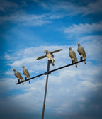 Mojo Outdoors Clip On Dove Grey Decoys, Dove Hunting Gear And Accessories, Set Of 4, One Size