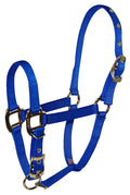 Hamilton Pet & Equine Hamilton 3/4 Nylon Adjustable Chin Horse Halter, Foal, Blue