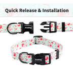 Ihoming Dog Collar And Leash Set For Daily Outdoor Walking Running Training, Floral Greenlake Design For Large Boys Girls Dogs C
