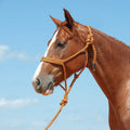 Cashel Flat Braid Halter And Leadrope, Copper