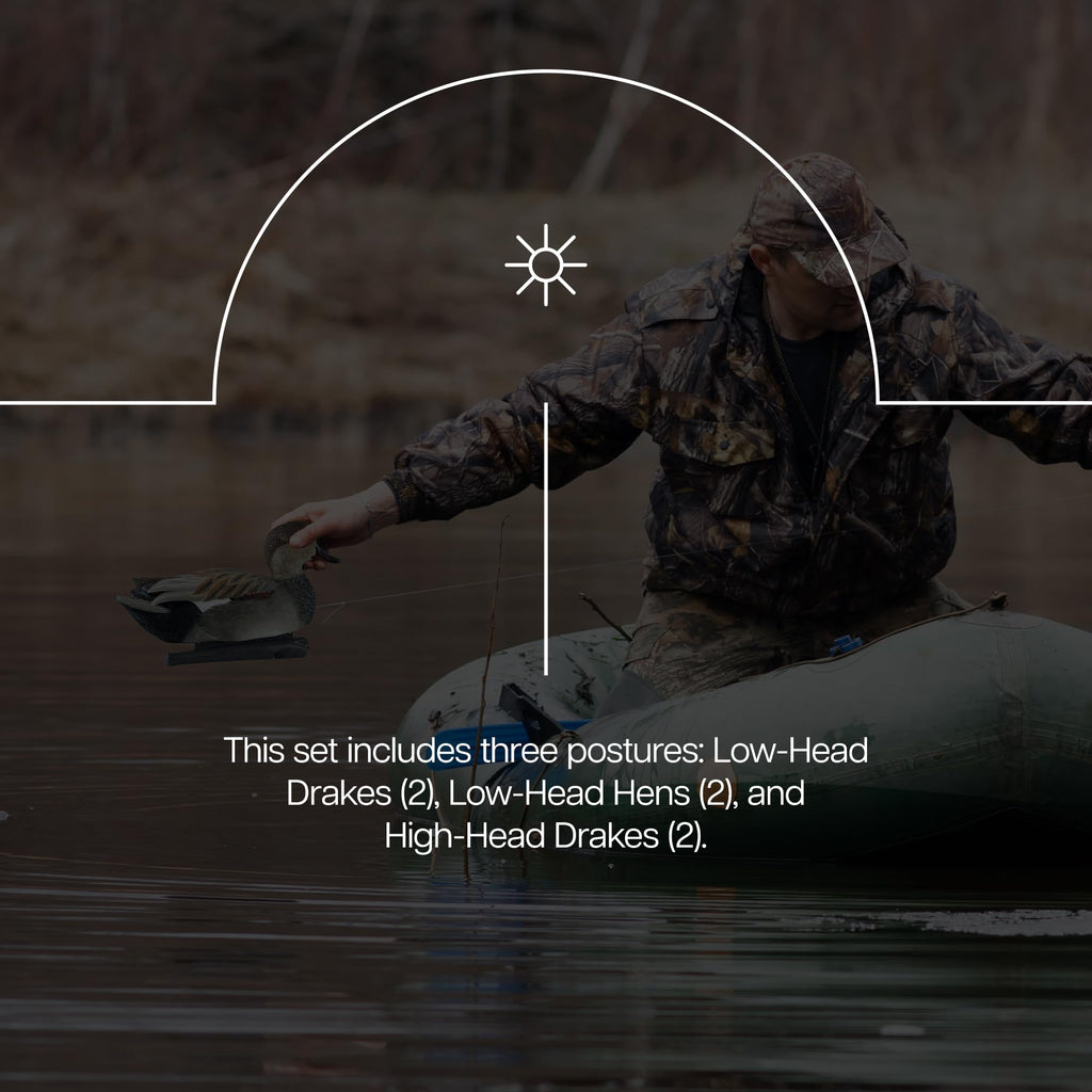 Avian X Topflight Gadwall Decoys Perfectly Replicated Late Season Gray Ducks, Weight Forward Swim Keel, Realistic Movement, Set