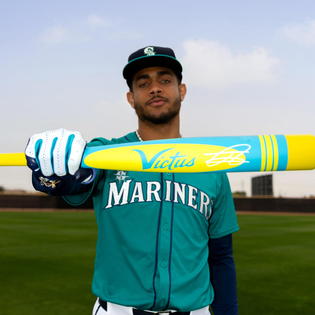 Vibe Pro-Crayon Alloy, USA Baseball, -10 Drop, 2 5/8 Barrel, Mid-Balanced, JRod Squad Gold, 29 / 19 oz
