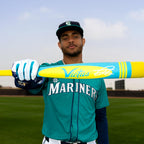 Vibe Pro-Crayon Alloy, USA Baseball, -10 Drop, 2 5/8 Barrel, Mid-Balanced, JRod Squad Gold, 30 / 20 oz