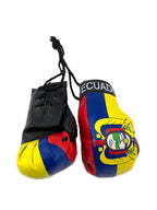 Red Hat Ent Hanging Car Mirror Mini Boxing Gloves (Ecuador)