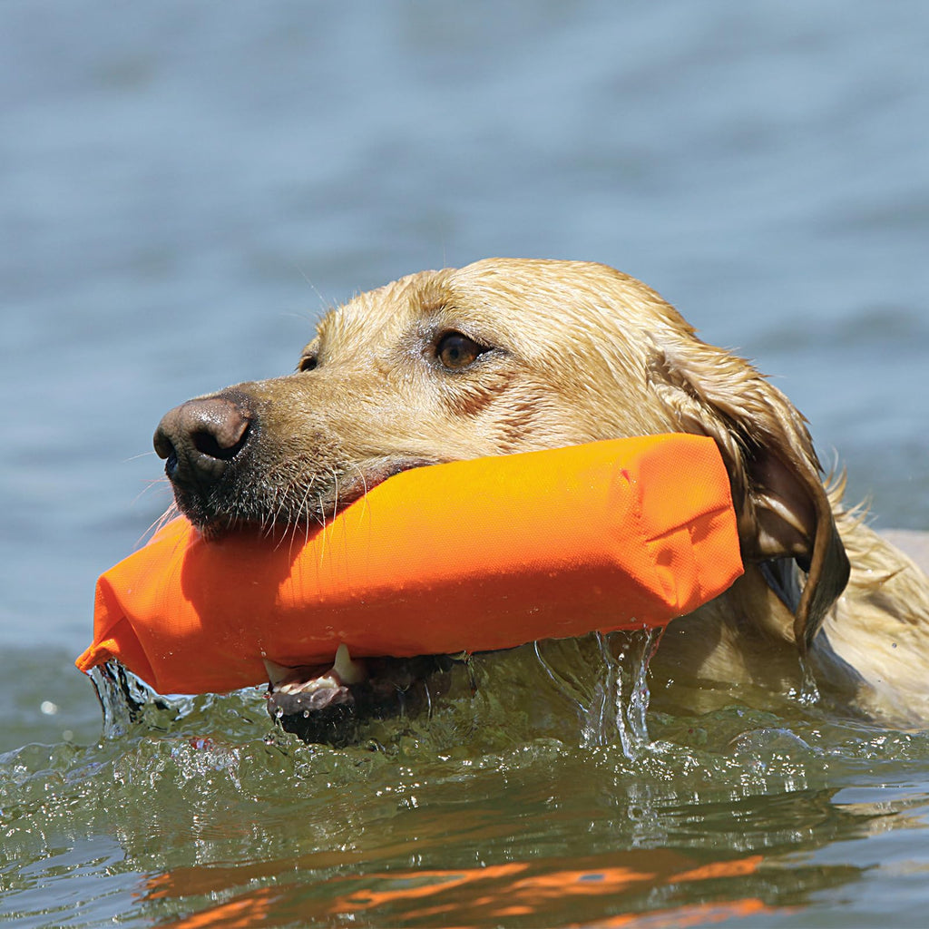 Avery Sporting Dog Canvas Training Bumper - Durable, Water-Resistant Training Dummy For Hunting Dogs (Orange, 2)