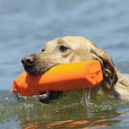 Avery Sporting Dog Canvas Training Bumper - Durable, Water-Resistant Training Dummy For Hunting Dogs (Orange, 3)