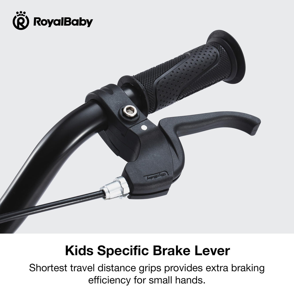 Royalbaby Freestyle Kids Bike 20 Inch Wheel Bicycle Teens Bmx With Dual Hand Brakes Kickstand Boys Girls Ages 6-10 Years, Green